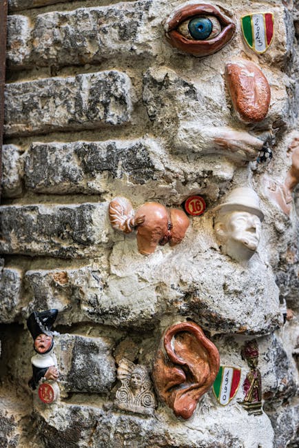 Athletic training program showcase