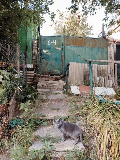 Healthy meal prep and nutrition planning