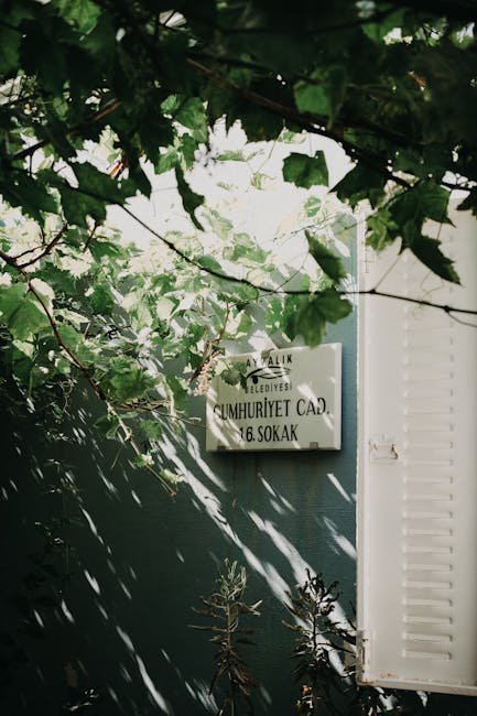 Exercise library movement demonstration